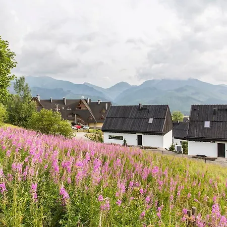 Udanypobyt Omg 코스실리스코